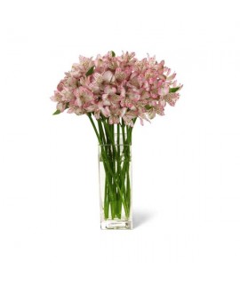 The Pure Bliss Bouquet The Pure Bliss Bouquet